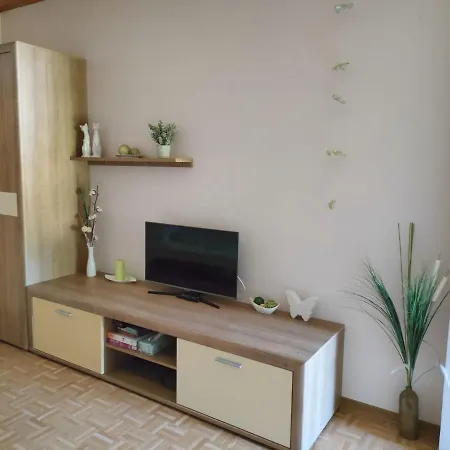 Schwarzinger Apartman *