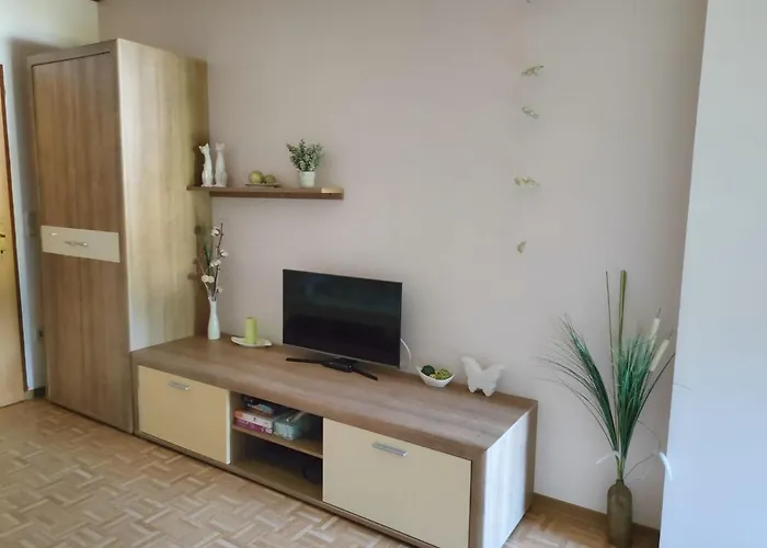 Schwarzinger Apartmán *